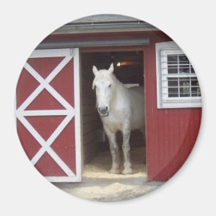 Aimant Cheval blanc dans la grange rouge