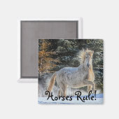 Aimant Cheval blanc en hiver Photo (Recto/Verso)