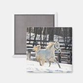 Aimant Cheval blanc galopant (Recto/Verso)