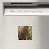 Aimant Cheval Bonjour (In Situ (Lave-vaisselle))