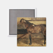 Aimant Cheval Brown dans les stalles stables (Recto/Verso)