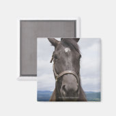 Aimant Cheval Brown foncé (Recto/Verso)