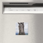 Aimant Cheval Brown foncé (In Situ (Lave-vaisselle))