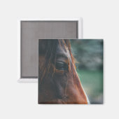 Aimant Cheval Brun en Gros Plan (Recto/Verso)