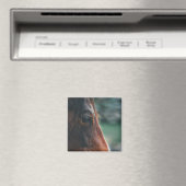 Aimant Cheval Brun en Gros Plan (In Situ (Lave-vaisselle))