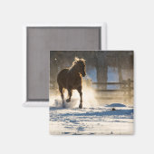 Aimant Cheval courant dans la neige (Recto/Verso)