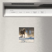 Aimant Cheval courant dans la neige (In Situ (Lave-vaisselle))