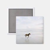 Aimant Cheval courant sur la plage (Recto/Verso)
