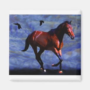 Aimant Cheval crépusculaire