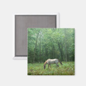 Aimant Cheval dans le pré (Recto/Verso)