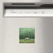 Aimant Cheval dans le pré (In Situ (Lave-vaisselle))
