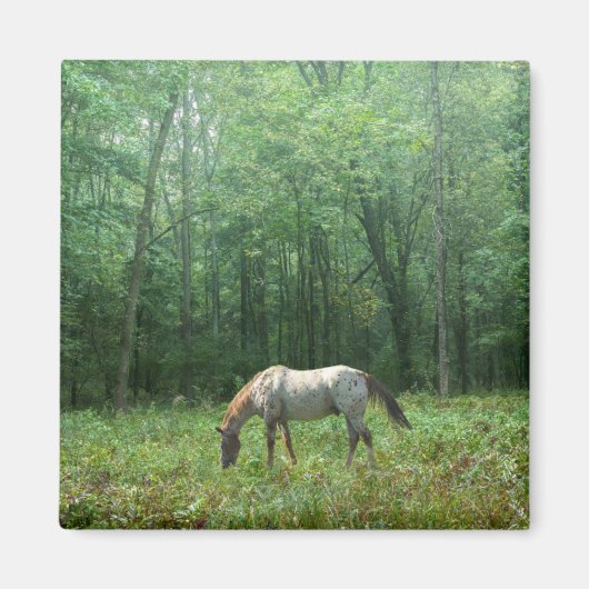 Aimant Cheval dans le pré (Devant)