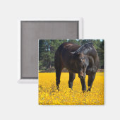 Aimant Cheval de baie dans un champ de fleurs jaunes (Recto/Verso)