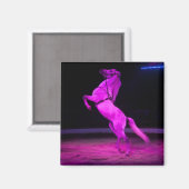 Aimant Cheval de cirque rose (Recto/Verso)