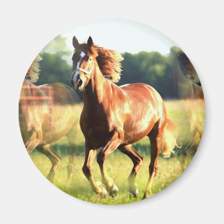 Aimant Cheval de course