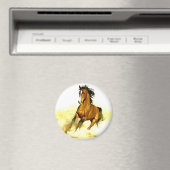 Aimant Cheval de course (In Situ (Lave-vaisselle))