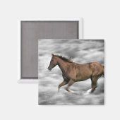 Aimant Cheval de course (Recto/Verso)