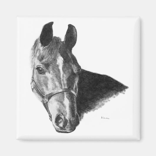 Aimant Cheval de Graphite (Devant)