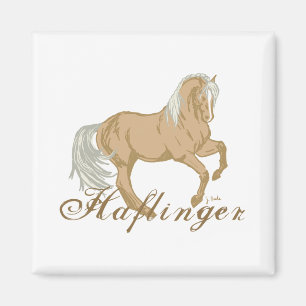 Aimant Cheval de Haflinger