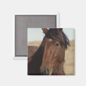 Aimant Cheval de la baie au vent (Recto/Verso)