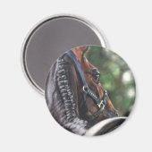 Aimant Cheval de la baie Thoroughbred Dressage de sang ch (Recto/Verso)