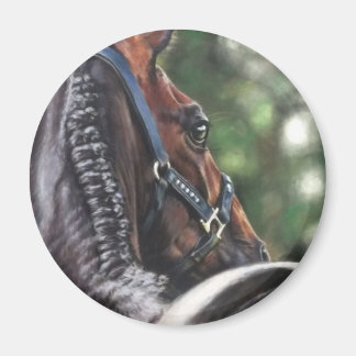 Aimant Cheval de la baie Thoroughbred Dressage de sang ch