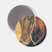 Aimant Cheval de l'Ouest (Recto/Verso)