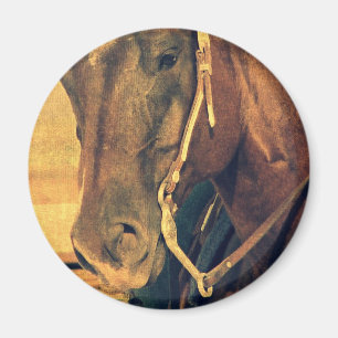 Aimant Cheval de l'Ouest