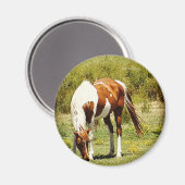 Aimant Cheval de peinture (Recto/Verso)