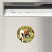 Aimant Cheval de peinture (In Situ (Lave-vaisselle))