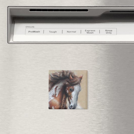 Aimant Cheval de peinture dans le désert (In Situ (Lave-vaisselle))