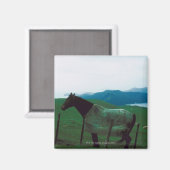 Aimant Cheval derrière la clôture (Recto/Verso)