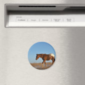 Aimant Cheval des Prairies (In Situ (Lave-vaisselle))
