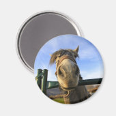 Aimant Cheval Drôle (Recto/Verso)