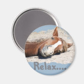Aimant Cheval drôle : Relax (Recto/Verso)
