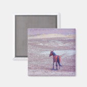 Aimant Cheval du désert P8640 (Recto/Verso)