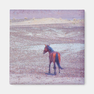 Aimant Cheval du désert P8640
