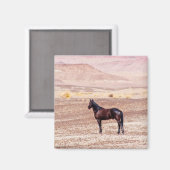 Aimant Cheval du désert P8664 (Recto/Verso)