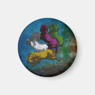 Aimant Cheval en couleurs ~ Boutons