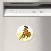 Aimant Cheval en course (In Situ (Lave-vaisselle))