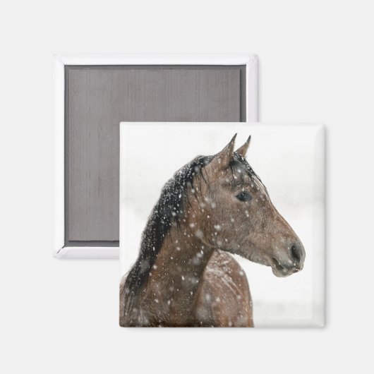 Aimant Cheval en hiver (Recto/Verso)