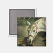 Aimant Cheval et chatons, 1890 (Recto/Verso)