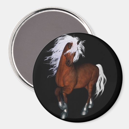 Aimant cheval Extraordinaire (Recto/Verso)