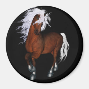Aimant Cheval extraordinaire