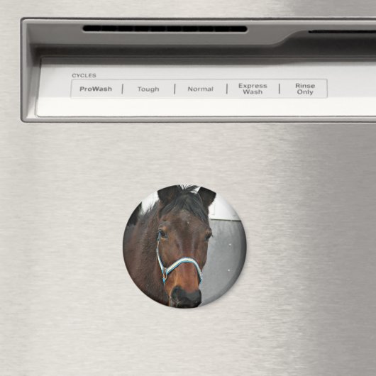 Aimant cheval heureux (In Situ (Lave-vaisselle))