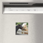 Aimant Cheval Lovin' (In Situ (Lave-vaisselle))