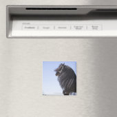 Aimant cheval noir à longue crinière (In Situ (Lave-vaisselle))