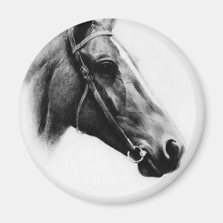 Aimant Cheval noir et blanc
