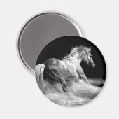 Aimant Cheval noir et blanc en action (Recto/Verso)