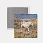 Aimant Cheval Parcourir les collines Pittoresques de la G (Recto/Verso)